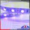 Silicone Tube IP66 SMD3528 365nm UV LED Strip, 400nm 405nm UV LED strip
