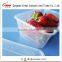 500g disposable clear plastic takeaway food container with lid