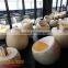 Stylish egg shape chair table for coffee store restaurant furniture set fiberglass stool dining table