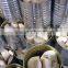 canned bamboo shoot with high quality