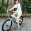 Seagull,cheap electric bike 800w