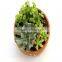 Natural look good quality artificial succulent bonsai fake succulent plant wholesale