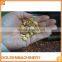 Automatic Roasting Temperature Control Peanut Roaster, Sunflower Roaster, Cashewnut Roaster, Pistachio Roaster, Snack Machinery