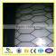 Galvanized Chicken wire mesh