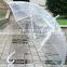 Good design Transparent umbrella / Princess umbrella / clear umbrella                        
                                                Quality Choice