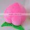 China Newest Custom Wholesale Kids Toys Stuffed Mushroom Plush Toy