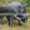 3D Mold Wild Pig Archery Target