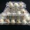 OUCHEN high quality quail egg cartons egg tray for sale