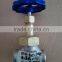 Cryogenic Globe Valve
