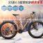 Good After Sales Service Snow Electric Bike Fat Tire Electric Bike