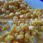 Canned Sweet Corn Kernel factory