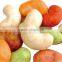 Colorful Coated Roasted Cashew Nut Healthy Snacks Hot Sell With Certificates