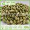 BRC, HALAL , FAD, Certificated Manufacturer Salted and Roasted Green Beans
