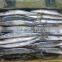 seafood frozen mackerel pacific saury for bait
