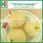 Top Quality Sweet and Juicy Grade A China Wholesale Ya Pear
