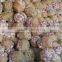 price special garlic ...best quality garlic...red white garlic
