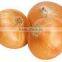 PACK The Natural Onion top crop good price