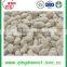 Chinese Factory Garlic paste iqf frozen garlic in hot sale