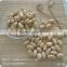 supplier of commom peanut kernels 25/29
