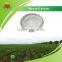 Lower Price Stevia Extract