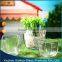 glass terrarium