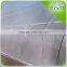 EU Standard Plastic Film Greenhouse