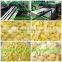 fry pellet machine/fry snacks machine/fry pellet extruder