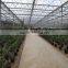 PC Sheet / Polycarbonate Greenhouse for flower growing