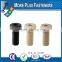 Made in Taiwan Hex Socket Plastic Cap Screw Cross Recess Pan Head Plastic Material Screw