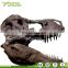 Realistic Life Size T-rex Skull Model