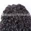 Hotbeauty Funmi Small Kinky Curl