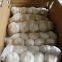 Organic Garlic Garlic Price Fresh Garlic New Crop Wholesale Garlic Price