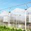 Clear Polycarbonic Greenhouse Supplies In China