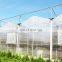 Aluminum Frame Polycarbonate Garden Greenhouse