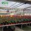 Agricultural Greenhouse Potted Plant Table For Rooling Benches