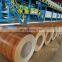 ppgi prepainted galvanized coil wood grain series