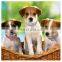 Three Rows Elastic Rhinestone Dog Necklace Collar Bright Crystal Pet Leash Necklace Pet Neck Supplies