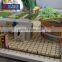 Newest architectural designs house design plastic assembly scale models stadium low cost