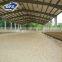 Qingdao DFX prefabricated steel horse stable china
