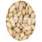 Byloo premium quality cheap bulk price wholesale black white raw top grade pine nuts available good you import bulk pine nuts