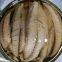 canned mackerel fillets
