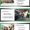 Batch/continuous waste rubber tire/car tyres to fuel oil pyrolysis plant