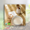 Organic Soybean Milk Powder