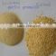 Open Air Cultivation Type Garlic Powder With Best Price