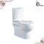 Ceramic toilet syphon unit toilet