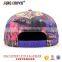 Top Quality Snapback 2016 Snapback Hats and Cap
