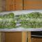 Fresh factory direct supply antirrhinum cut flower from china