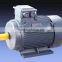 30Kw Low RPM low speed permanent magnet generator, 30Kw water hydro turbine generator                        
                                                Quality Choice