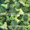 Frozen broccoli 4-6cm 2015 new crop