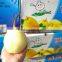 Fresh Pears/New Fresh ya Pear/Fresh ya Pear